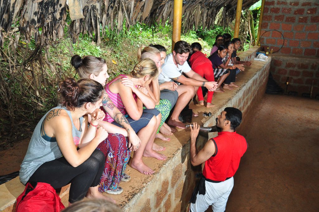 learn Kalaripayattu