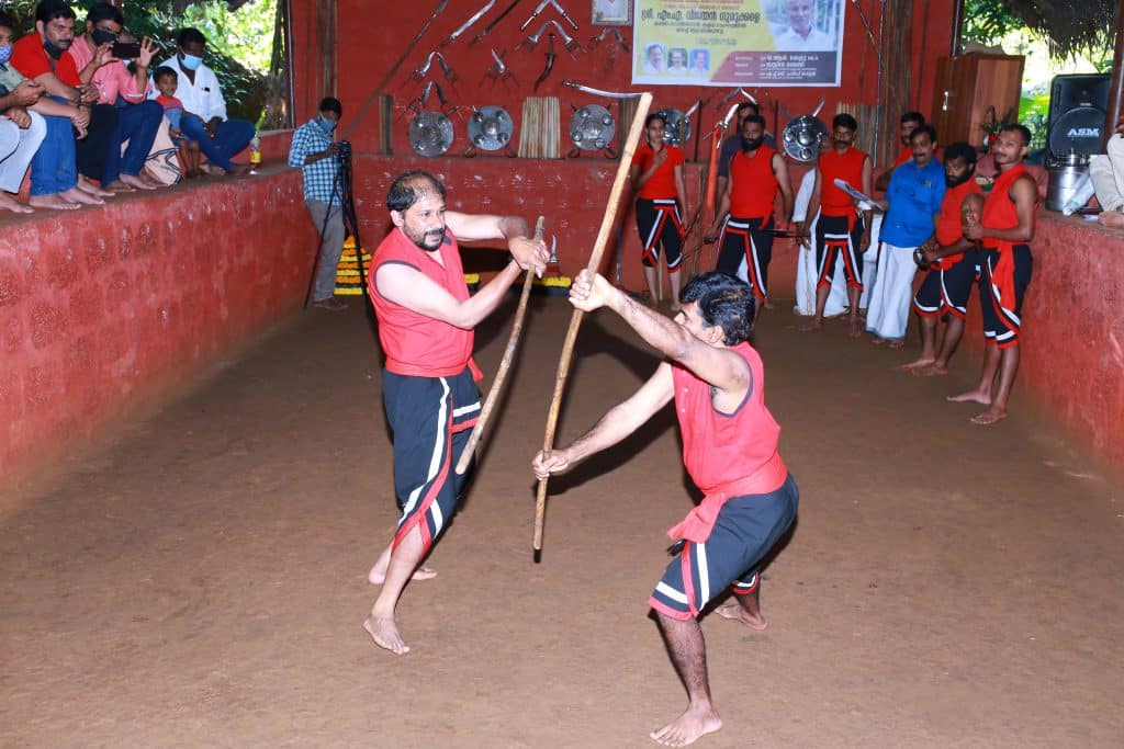 Kalaripayattu virtual training