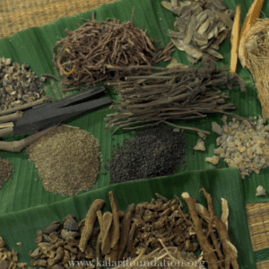 Flat-lay of raw Ayurvedic herbs, roots, barks, and seeds on a banana leaf, used for preparing traditional Mukkoottu Thailam for Kalaripayattu.